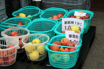 りんご即売２.JPG