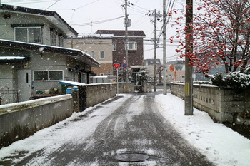 小雪の道.JPG