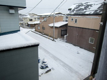 朝の雪.JPG