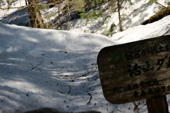 登山道５.JPG