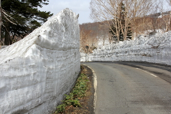 雪の回廊１.JPG