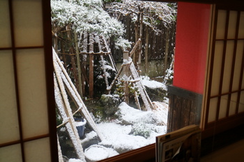 雪の庭.JPG