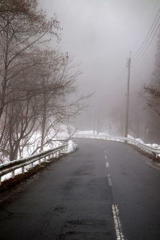 霧の道１.JPG