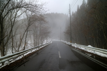 霧の道２.JPG